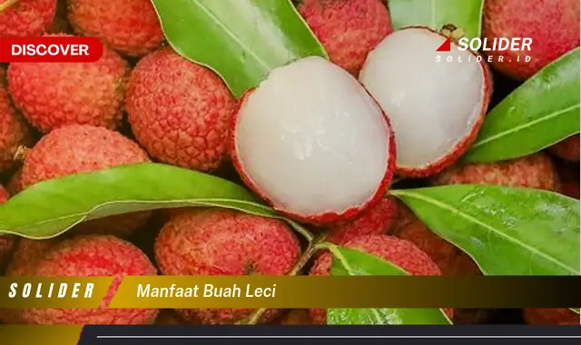 manfaat buah leci