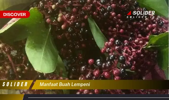 manfaat buah lempeni