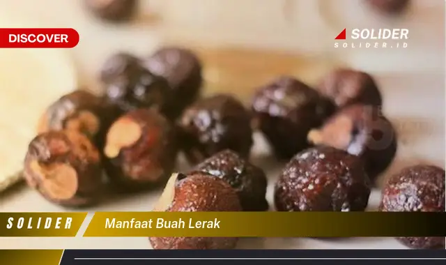 manfaat buah lerak