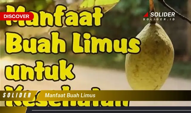 manfaat buah limus