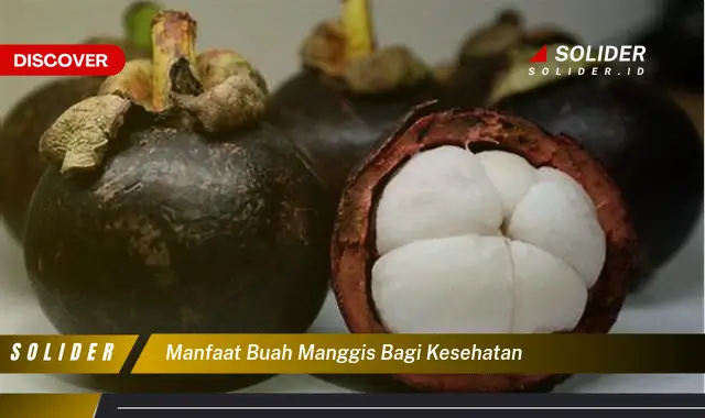 manfaat buah manggis bagi kesehatan