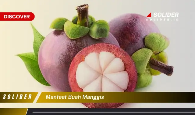 manfaat buah manggis