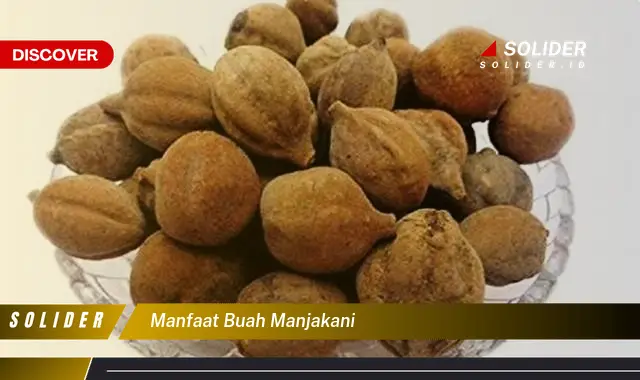 manfaat buah manjakani