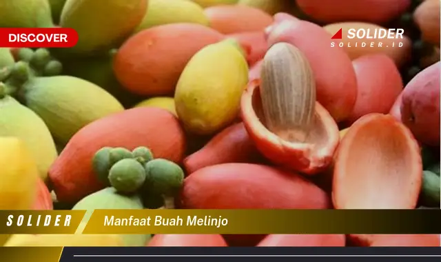 manfaat buah melinjo