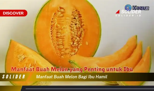 manfaat buah melon bagi ibu hamil