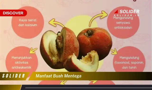 manfaat buah mentega