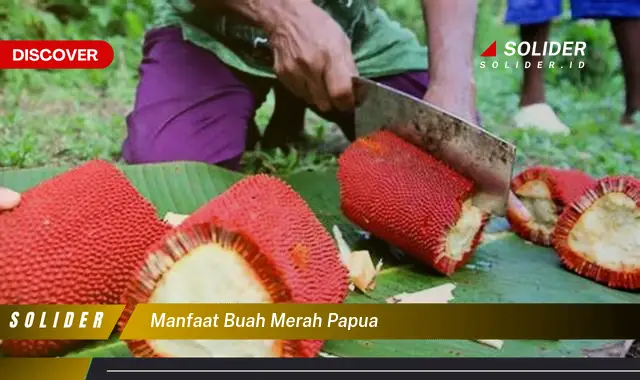 manfaat buah merah papua