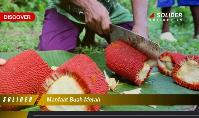 Temukan 4 Manfaat Buah Merah yang Bikin Kamu Penasaran