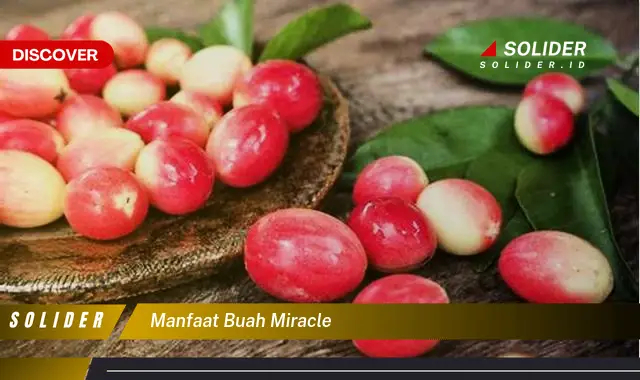 manfaat buah miracle