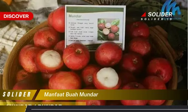 manfaat buah mundar