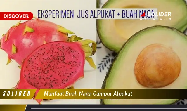 manfaat buah naga campur alpukat