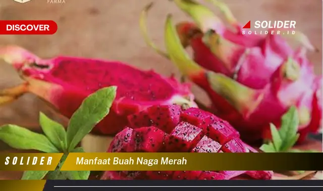 manfaat buah naga merah