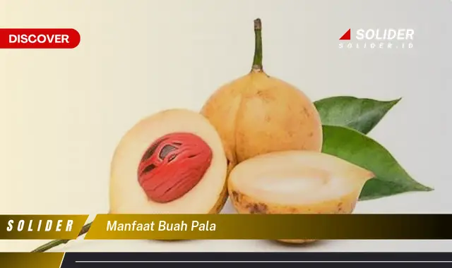 manfaat buah pala