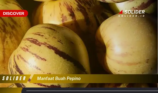 manfaat buah pepino