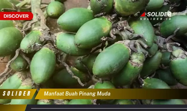 manfaat buah pinang muda