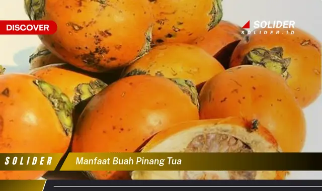 manfaat buah pinang tua