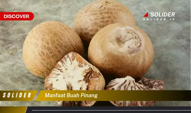 manfaat buah pinang