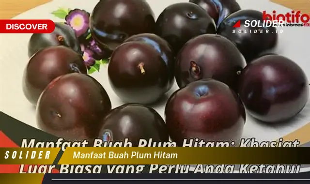 manfaat buah plum hitam