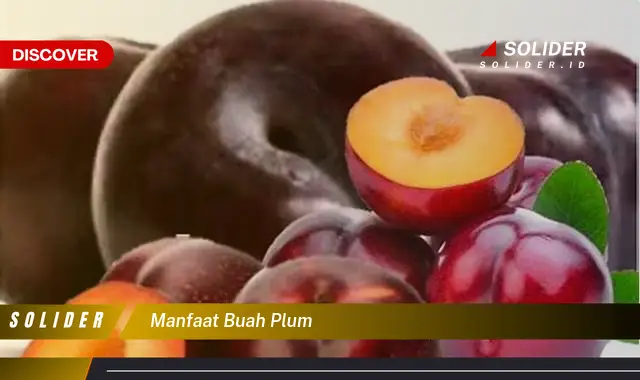 manfaat buah plum