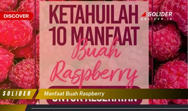 manfaat buah raspberry