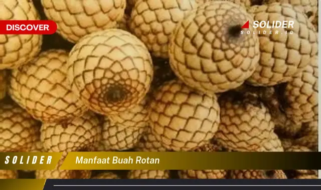 manfaat buah rotan