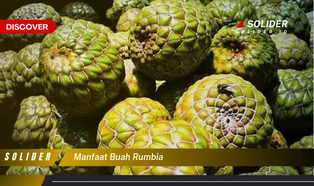 manfaat buah rumbia