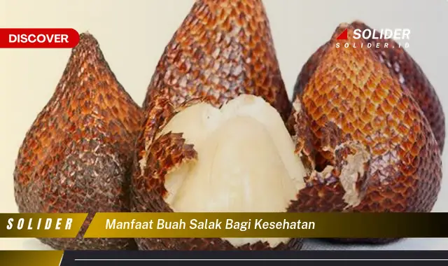 manfaat buah salak bagi kesehatan