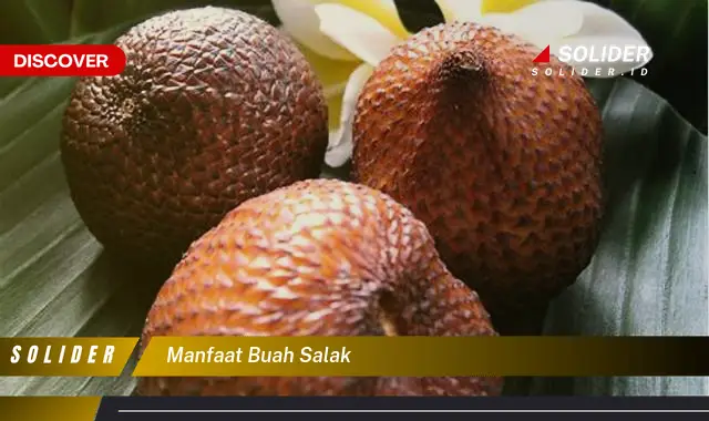 manfaat buah salak