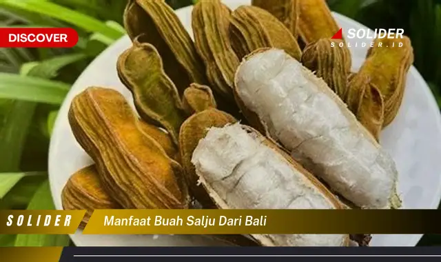 manfaat buah salju dari bali