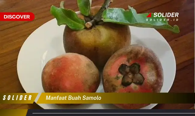 manfaat buah samolo