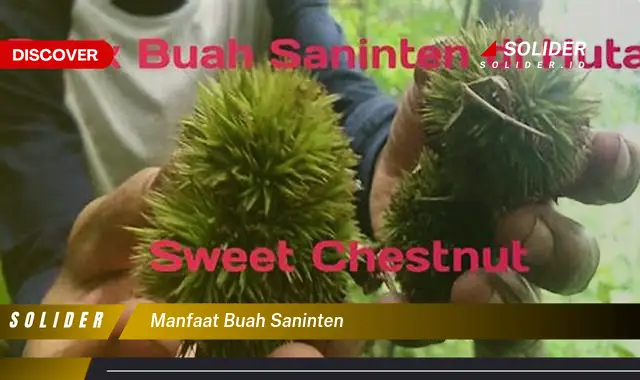 manfaat buah saninten