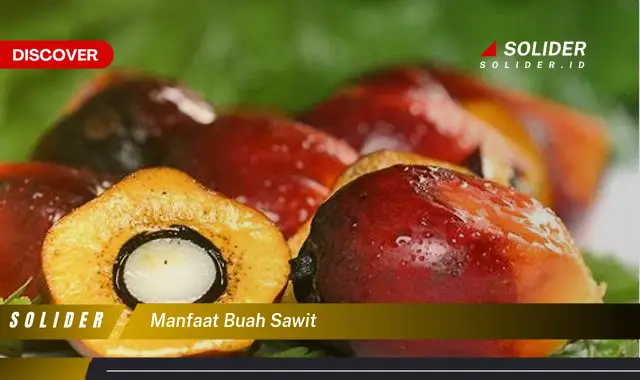 manfaat buah sawit