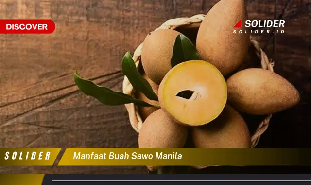 manfaat buah sawo manila