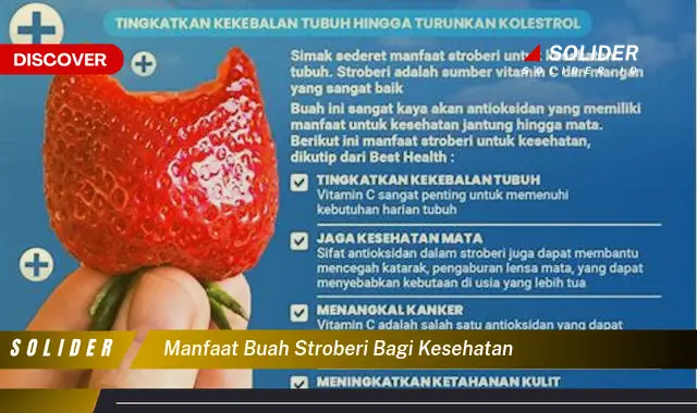 manfaat buah stroberi bagi kesehatan