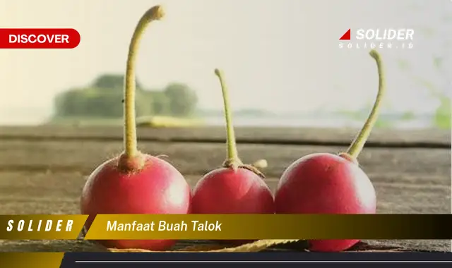 manfaat buah talok