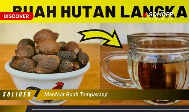 manfaat buah tempayang