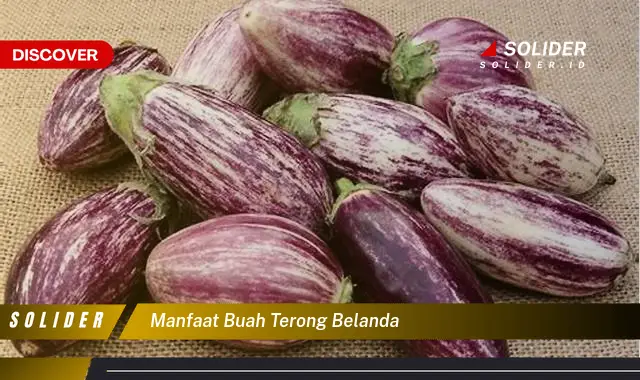 manfaat buah terong belanda