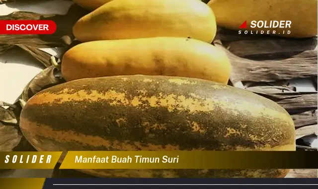 manfaat buah timun suri