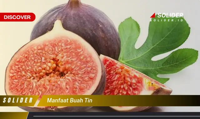 manfaat buah tin