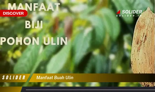 manfaat buah ulin