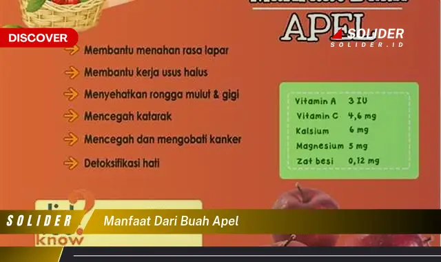 manfaat dari buah apel