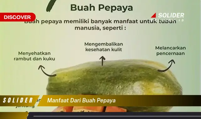 manfaat dari buah pepaya