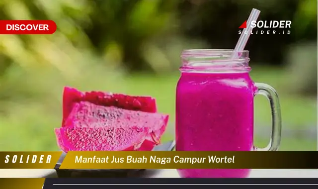 manfaat jus buah naga campur wortel