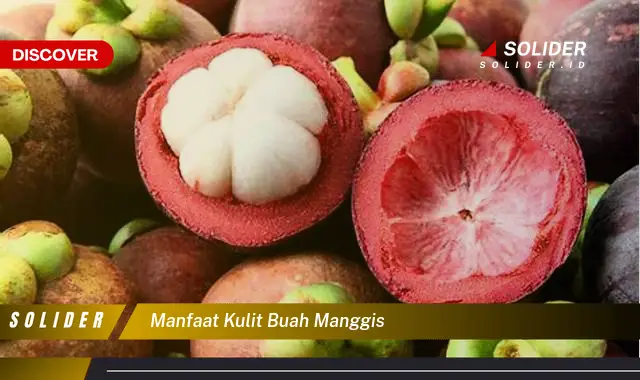 manfaat kulit buah manggis