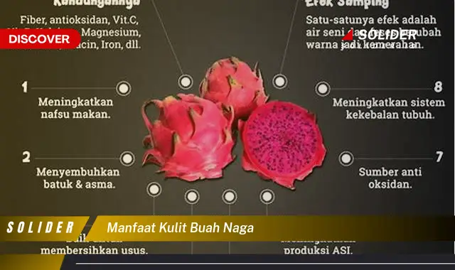 manfaat kulit buah naga