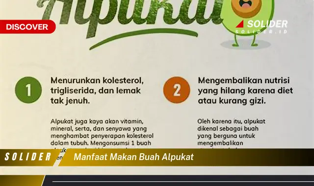 manfaat makan buah alpukat