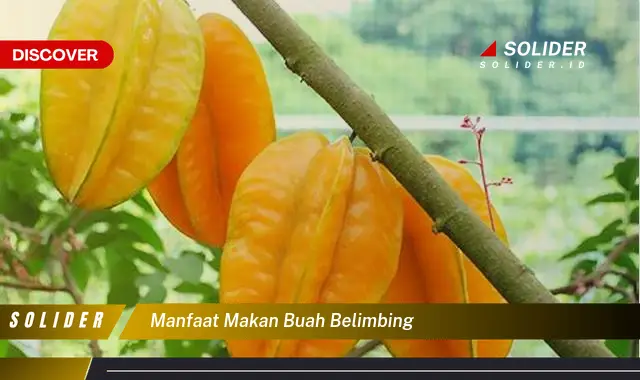 manfaat makan buah belimbing