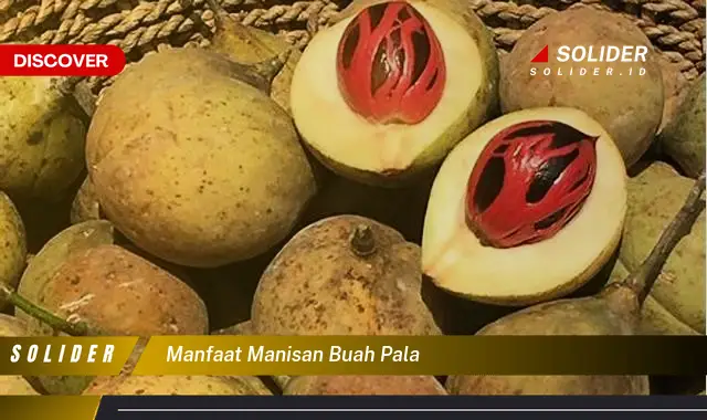 manfaat manisan buah pala