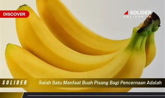 salah satu manfaat buah pisang bagi pencernaan adalah