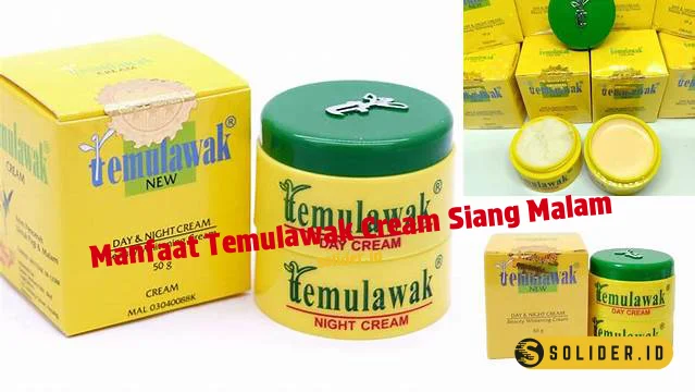 manfaat temulawak cream siang malam